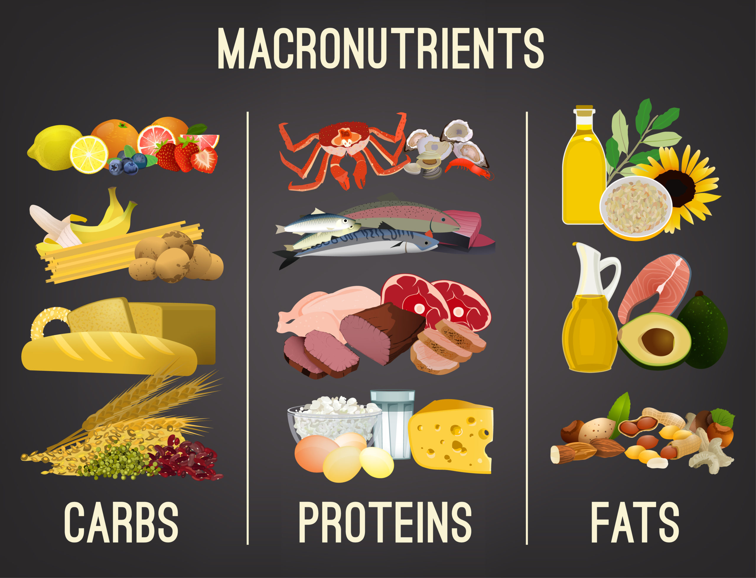 Carbohydrates Proteins And Fats What You Need To Know The Iv Lounge 9854