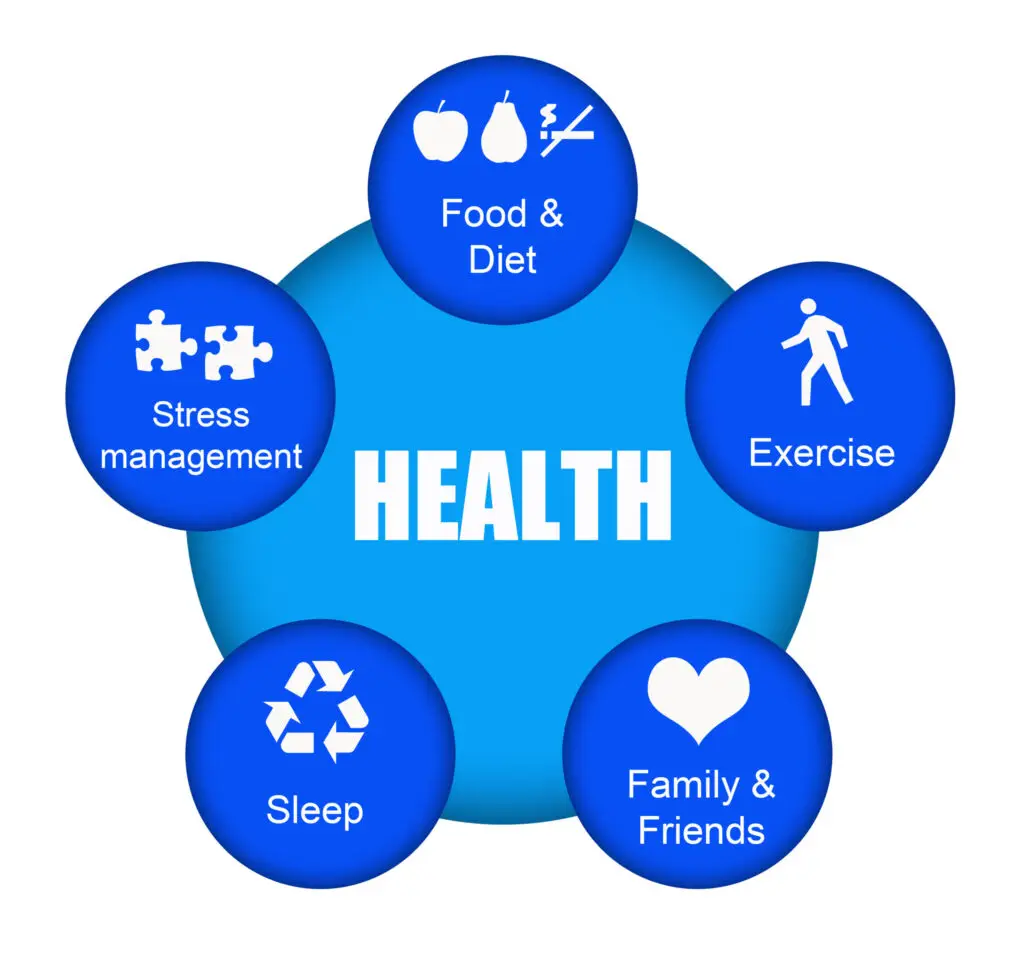 optimal health diagram