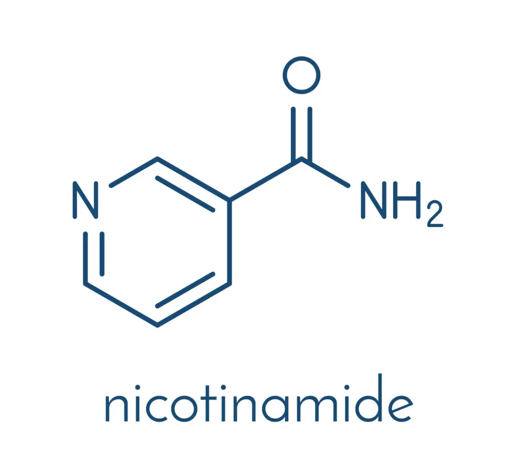 NAD+ molecular diagram