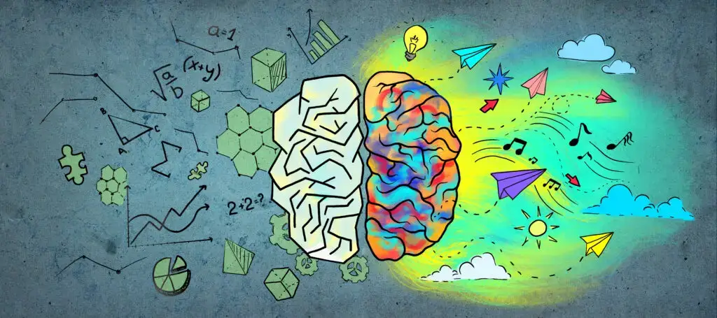 cognitive function