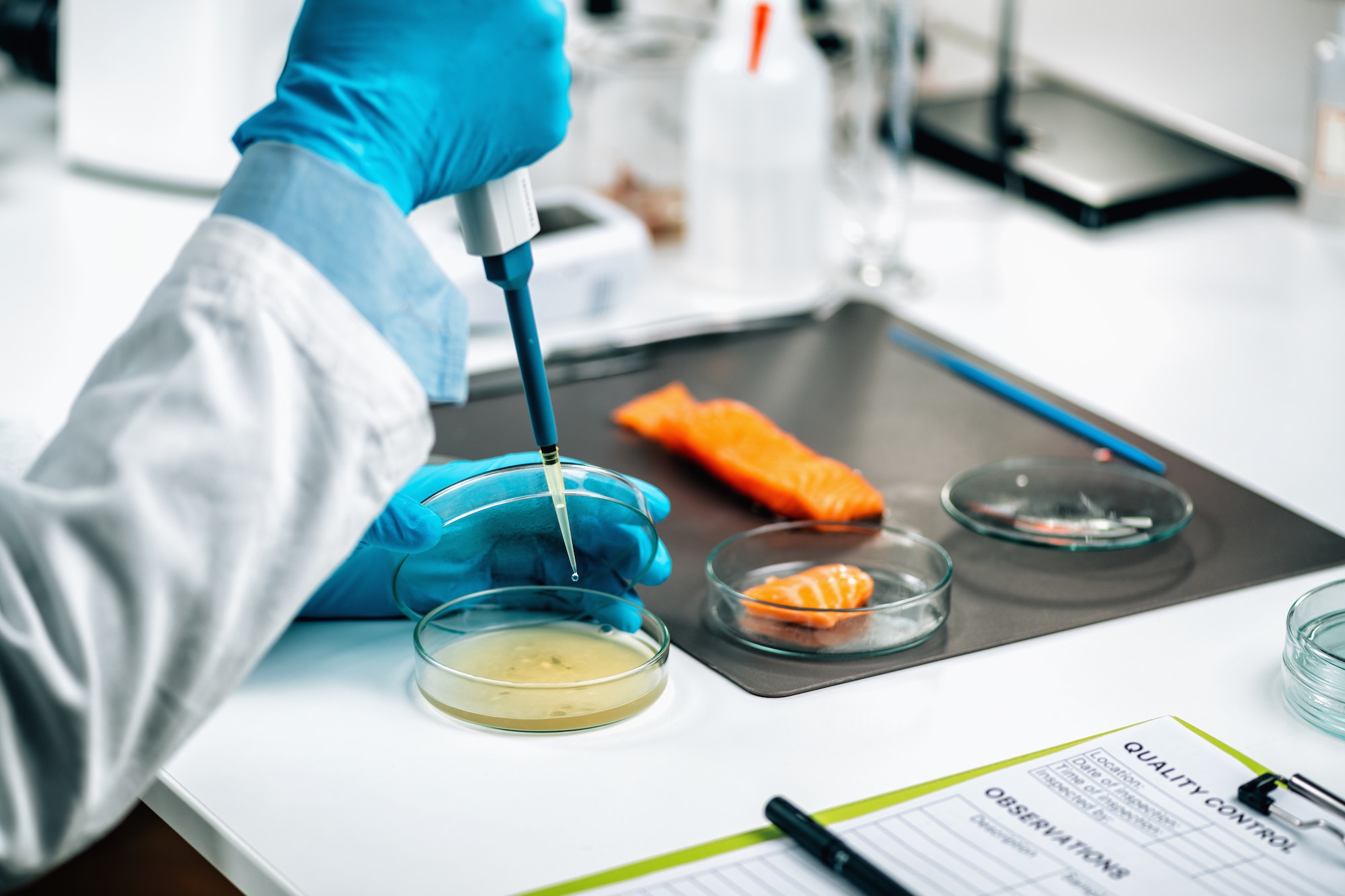 Food Quality Management - Microbiologist Testing Salmon Sample