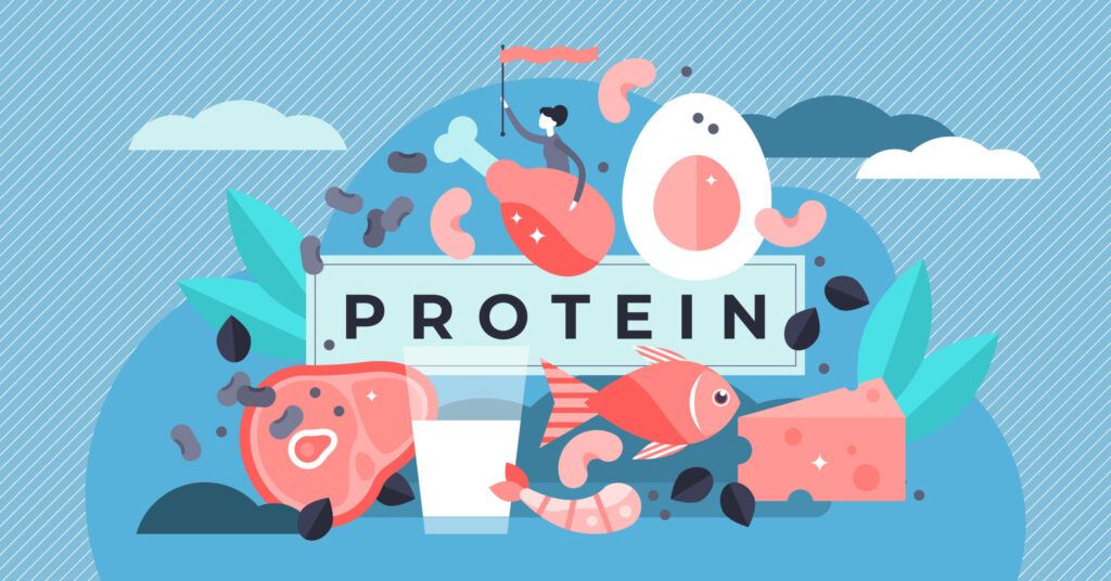 Drawing of a variety of protein-rich foods, fueling the body for muscle hypertrophy.