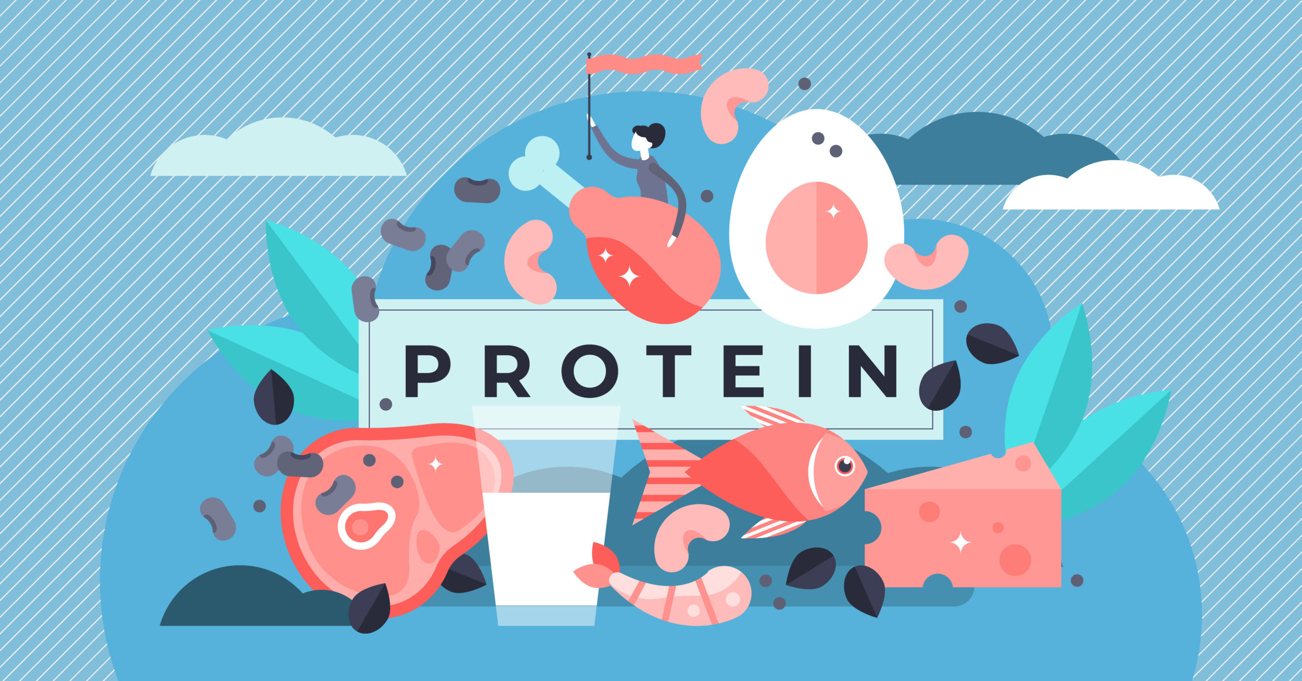 Drawing of a variety of protein-rich foods, fueling the body for muscle hypertrophy.